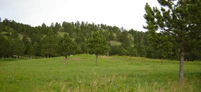 file sturgis01.jpg