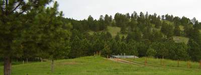 file sturgis02.jpg